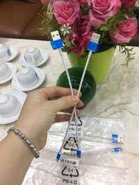 Cable Lightning iPhone ZIN New 20CM