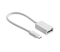 Cable Ugreen Micro USB 10822