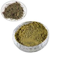 Các loại bột gỗ-lá tuyết tùng loại tốt - Bột lá xanh,100gr