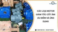 Các loại motor giảm tốc cốt âm: Ưu điểm và ứng dụng