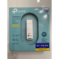 Cạc mạng TP -Link WN821N