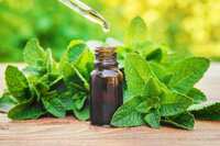 Cách làm tinh dầu bạc hà tại nhà