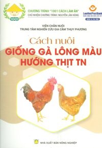 Cách Nuôi GIỐNG GÀ LÔNG MÀU HƯỚNG THỊT TN