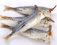 Cách ướp cá nục phơi khô  - Khô cá Nục Béo thịt Dai Thơm ngon giàu Dinh Dương  Sạch sẽ An toàn - 100% tự nhiên - 200G