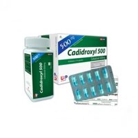 CADIDROXYL cefadroxil 500 (hộp/lọ) (Chai 100 viên nang hoặc 10 vỉ x 10 viên nang)