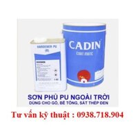 CADIN - Sơn Phủ PU ngoài trời ,sơn cho bê tông sắc thép bộ 5kg