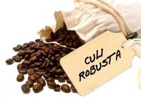 Cafe hạt Culi Robusta
