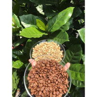 CAFE RANG MỘC PHA MÁY 500G