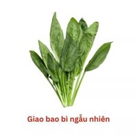 Cải bó xôi đà lạt Global Gap gói 300g (1 Gói)