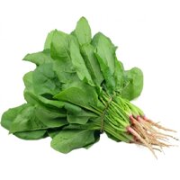 Cải Bó Xôi Đà Lạt Túi 1kg