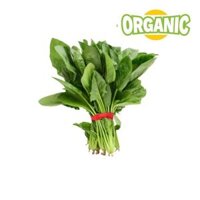 Cải bó xôi hữu cơ USDA Food King (Bịch 0.25Kg)