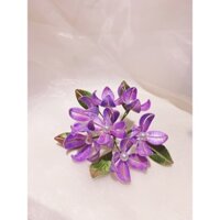 cài hoa cẩm tú cầu