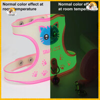 [Calager] Dây xích thú cưng có đèn huỳnh quang Dây xích thú cưng chống thất lạc để du lịch an toàn Dây xích thú cưng phản quang sành điệu để đi dạo ban đêm Thiết kế bền bỉ an toàn cho người mua Đông Nam Á