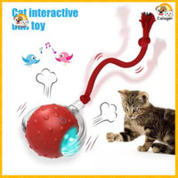 [Calager] Đồ chơi mèo sàn gạch và gỗ Đồ chơi cho mèo thể thao cho mèo hoạt động Đồ chơi bóng mèo có âm thanh rung Đồ chơi di chuyển tự động cho mèo trong nhà Cán nhanh trên thảm chuyển động cho bạn