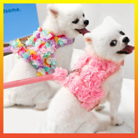 [Calamus] Dây kéo thú cưng trang trí hoa dễ thương bộ dây xích chó mèo