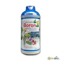CALCIAM BORON 1 - Canxi Bo Thái Lan