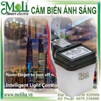 CẢM BIẾN cảm ứng ánh sáng MOLI