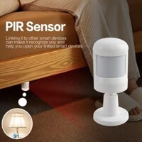 Cảm Biến Chuyển Động Chuẩn Zigbee Motion Sensor, Nhà Thông Minh, SmartHome