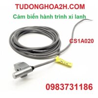 Cảm biến hành trình xi lanh CS1A020