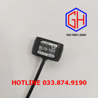 Cảm biến mức nước Autonics BL13-TDT