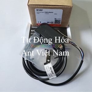 Cảm biến quang Autonics BF5R-S1-N