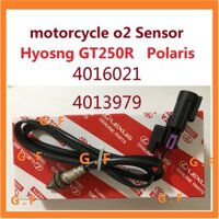 Cảm Biến Xe Máy o2 # Hyosng GT250R # Phụ Tùng Chuyên Dụng Dành Cho Polaris RZR 570 1000 XP XP 4 1000 # 4016021 4013979 # Cảm Biến Oxy Xe Máy o2