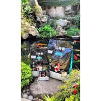 Cám Cá Koi Bethech Growth - Loại 500g