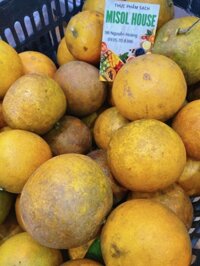 Cam Cao Phong size VIP (5kg 150)