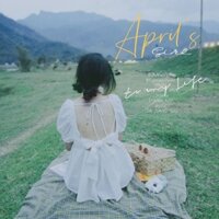 cam / cloud top/ áo kiểu nữ tay bồng thắt nơ sau lưng/ áo kiểu nữ babydoll