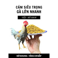 Cám gà siêu trọng từ 2-7 tháng tuổi (10kg)