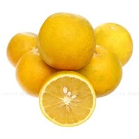 Cam lòng vàng hữu cơ HD farm