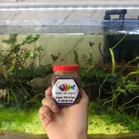 Cám thái inve 3/5 cho cá