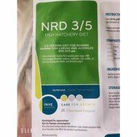 CÁM THÁI INVE 3/5 DÀNH CHO CÁ NHỎ