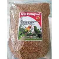 cám trứng cho vẹt tập ăn đến trưởng thành