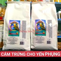Cám trứng cho vẹt yến phụng (hàng nhập Ý) và các dòng vẹt cùng size..gói nguyên 1kg
