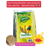 Cám trứng Splendido chia lẻ 1kg dùng chung yến hót, 7 màu, finch,....Manitoba Ý.
