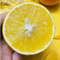 Cam Tươi EcoVi Hà Phong- Cam vỏ mỏng vị ngọt, nhiều nước, Cam loại 1 tiêu chuẩn- Thùng 5kg