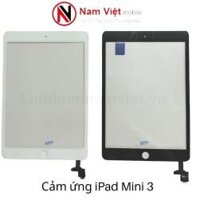 Cảm Ứng Ipad Mini 3 zin có ic