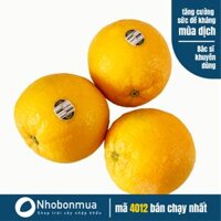 Cam vàng mỹ navel 4012 mới về