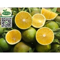 Cam Xoàn Lai Vung hữu cơ
