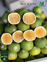 Cam Xoàn Lai Vung