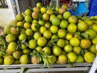 cam xoàn Miền Tây