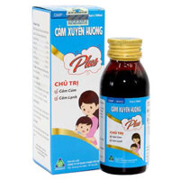 Cảm xuyên hương Plus, chỉ định điều trị các trường hợp cảm cúm