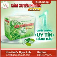 Cảm xuyên hương Yên Bái (viên nang cứng)
