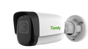 Camera an ninh Tiandy TC-C34WS