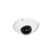 CAMERA Dome IP Network HDPARAGON HDS-2520IRP 2.0 Megapixel