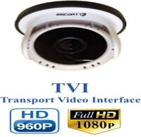 Camera  Escort ESC-517TVI 1.0