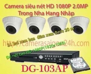 Camera HD-TVI Avtech DG 103AP