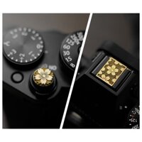 Camera Hot Shoe Cover Cho Nikon Z50 II Z6III Z8 Z9 ZFC ZF CHO Canon RP R6 R8 R50 Camera Shutter Nút CHO Leica Cho Fuji X-M5