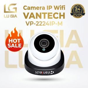 Camera IP 2MP Vantech VP-2224IP